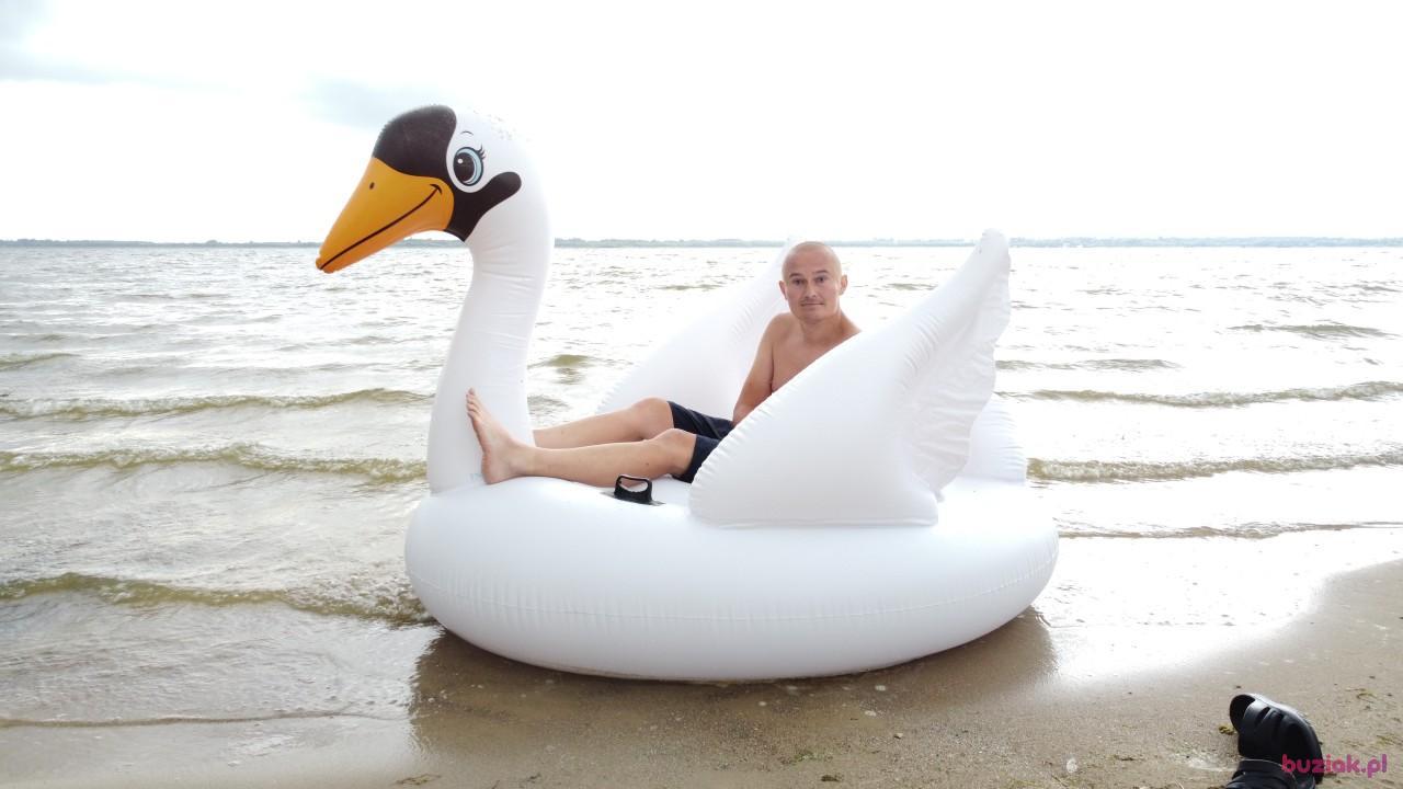 Michał, Male, 37, Zgierz, Polska, Photo: 539