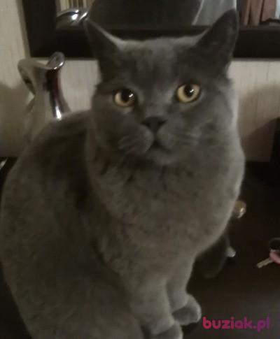 Kriss710, Male, 54, Polska, Photo: 2