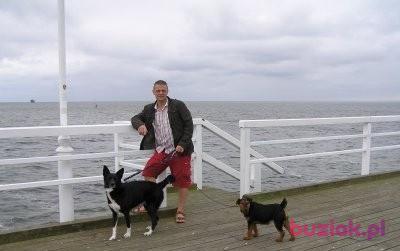 Adam, Mężczyzna, 49, Warszawa, Polska, Zdjęcie: 1