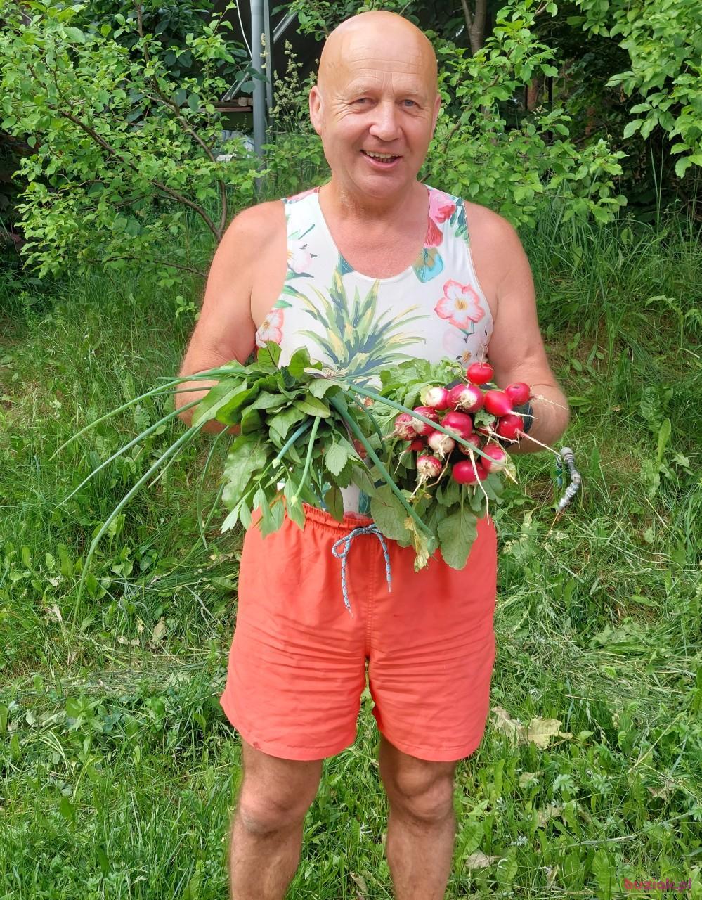 GRZEGORZ, Mężczyzna, 66, Białobrzegi, Polska, Zdjęcie: 8