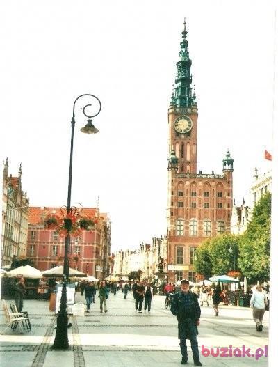 Kazimierz, Male, 82, Katowice, Polska, Photo: 4