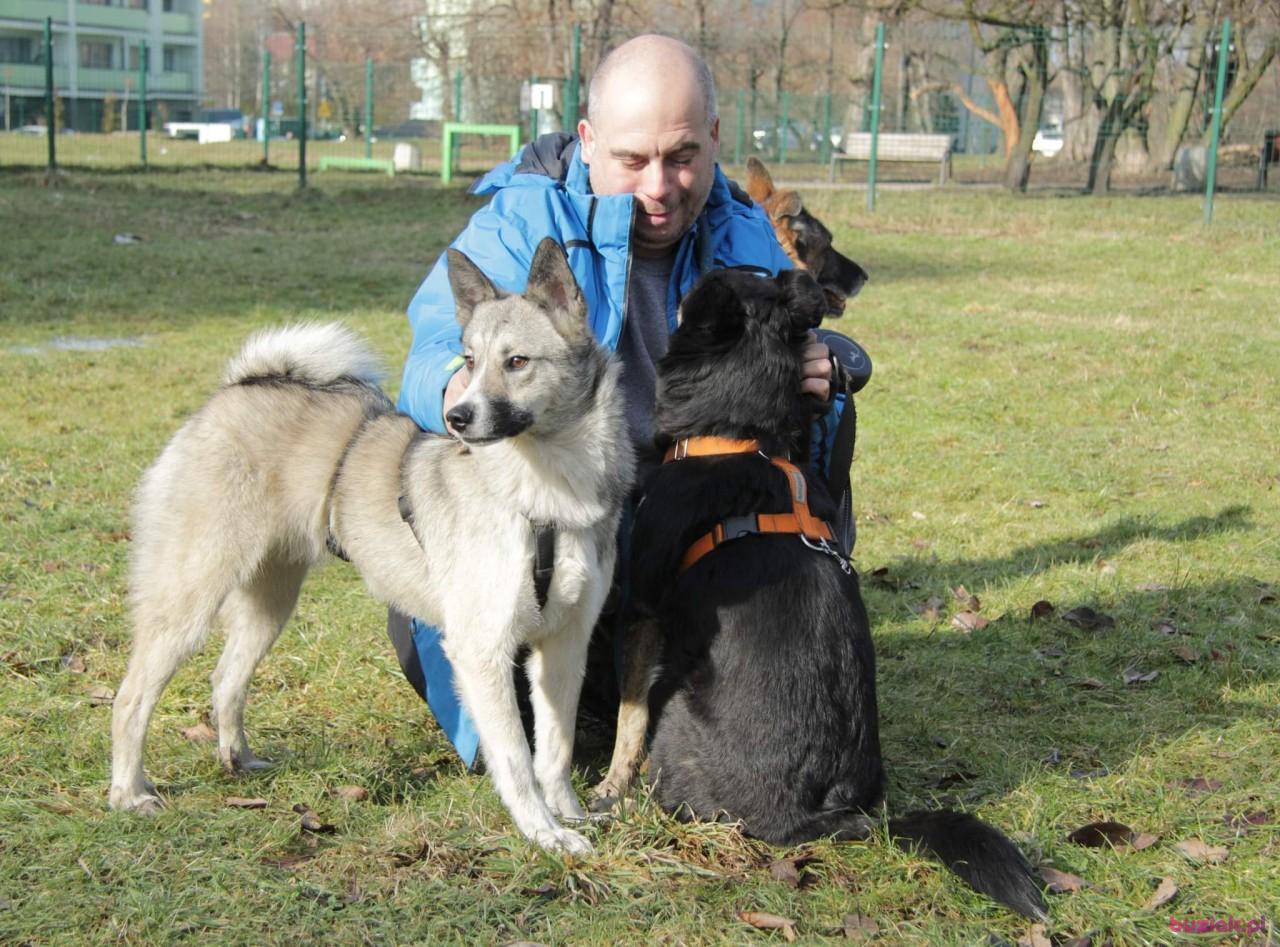 Michal , Mężczyzna, 42, Siemianowice Śląskie, Polska, Zdjęcie: 5