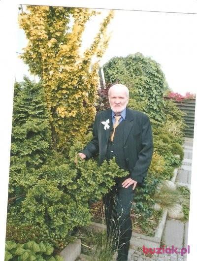 Kazimierz, Male, 82, Katowice, Polska, Photo: 3