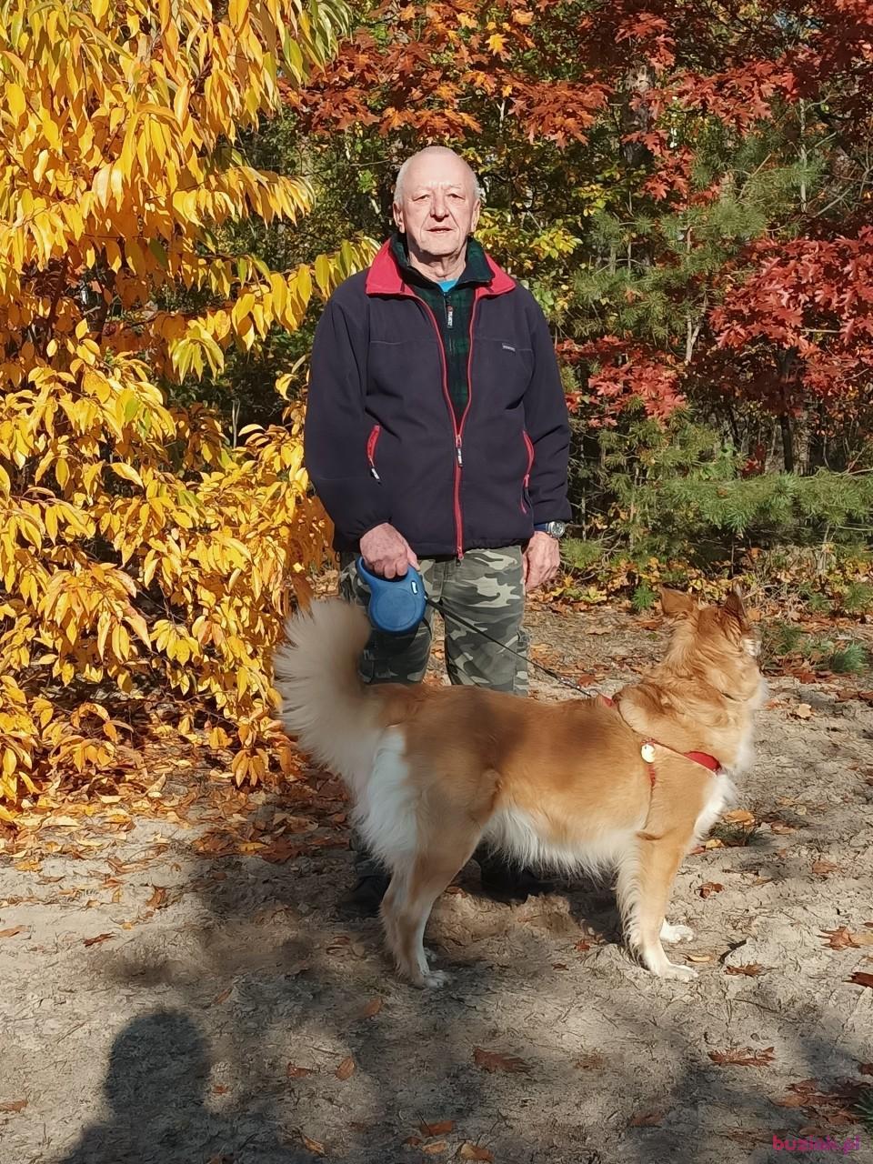 Zdzisław, Mężczyzna, 73, Poznań, Polska, Zdjęcie: 4