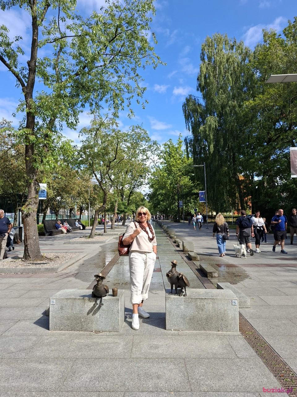 Lusia, Kobieta, 66, Polska, Zdjęcie: 1