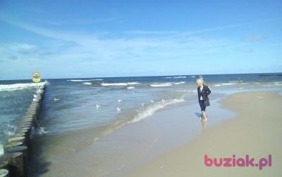 Teresa, Female, 69, Gołdap, Polska, Photo: 4