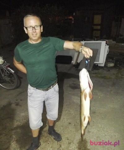 arek, Mężczyzna, 54, Stargard Szczeciński, Polska, Zdjęcie: 2