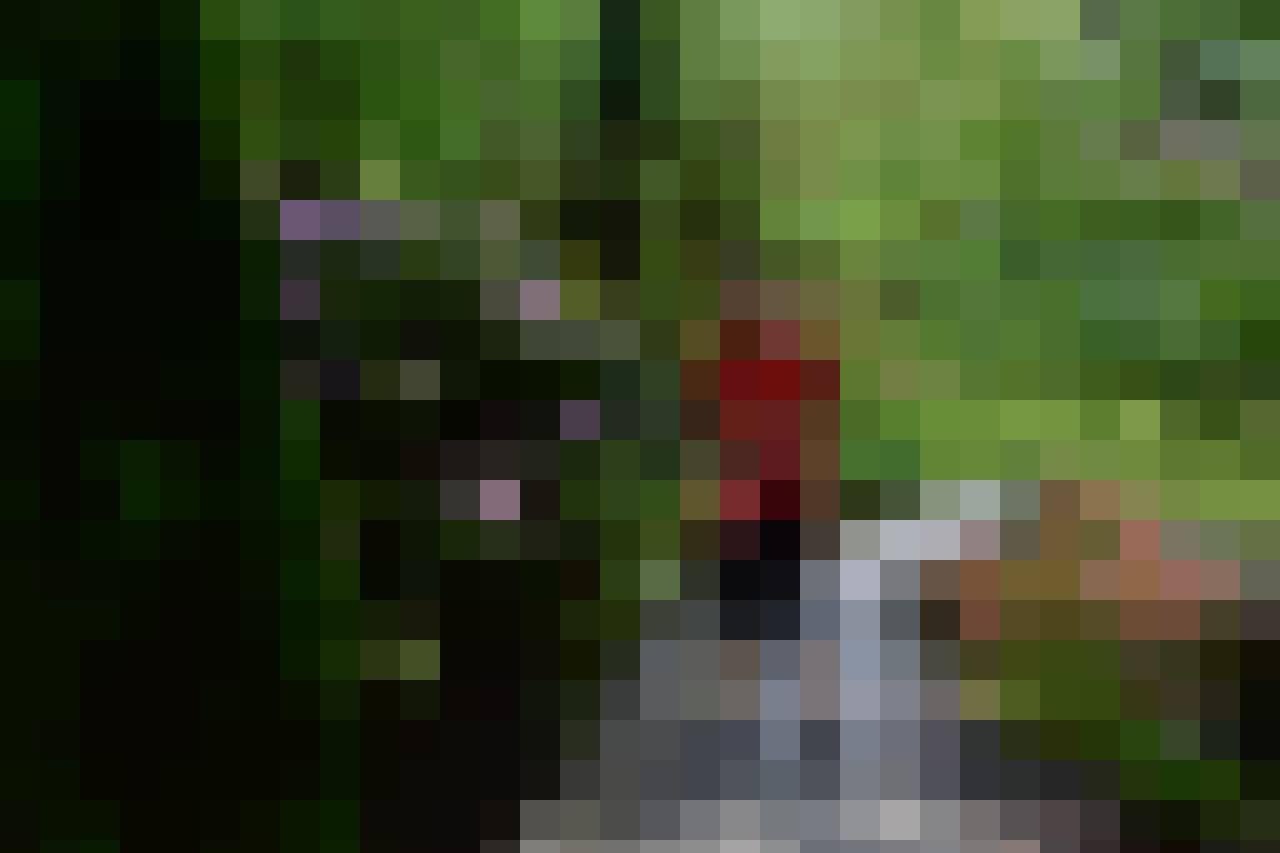 kacper, Male, 40, Grodków, Polska, Photo: 5