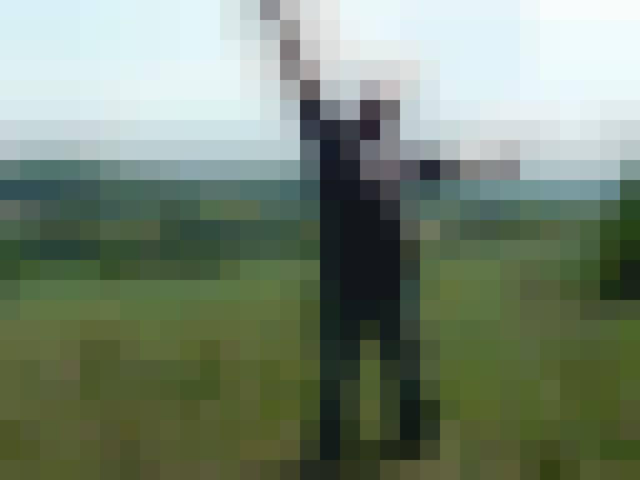Robert, Male, 61, Gliwice, Polska, Photo: 4