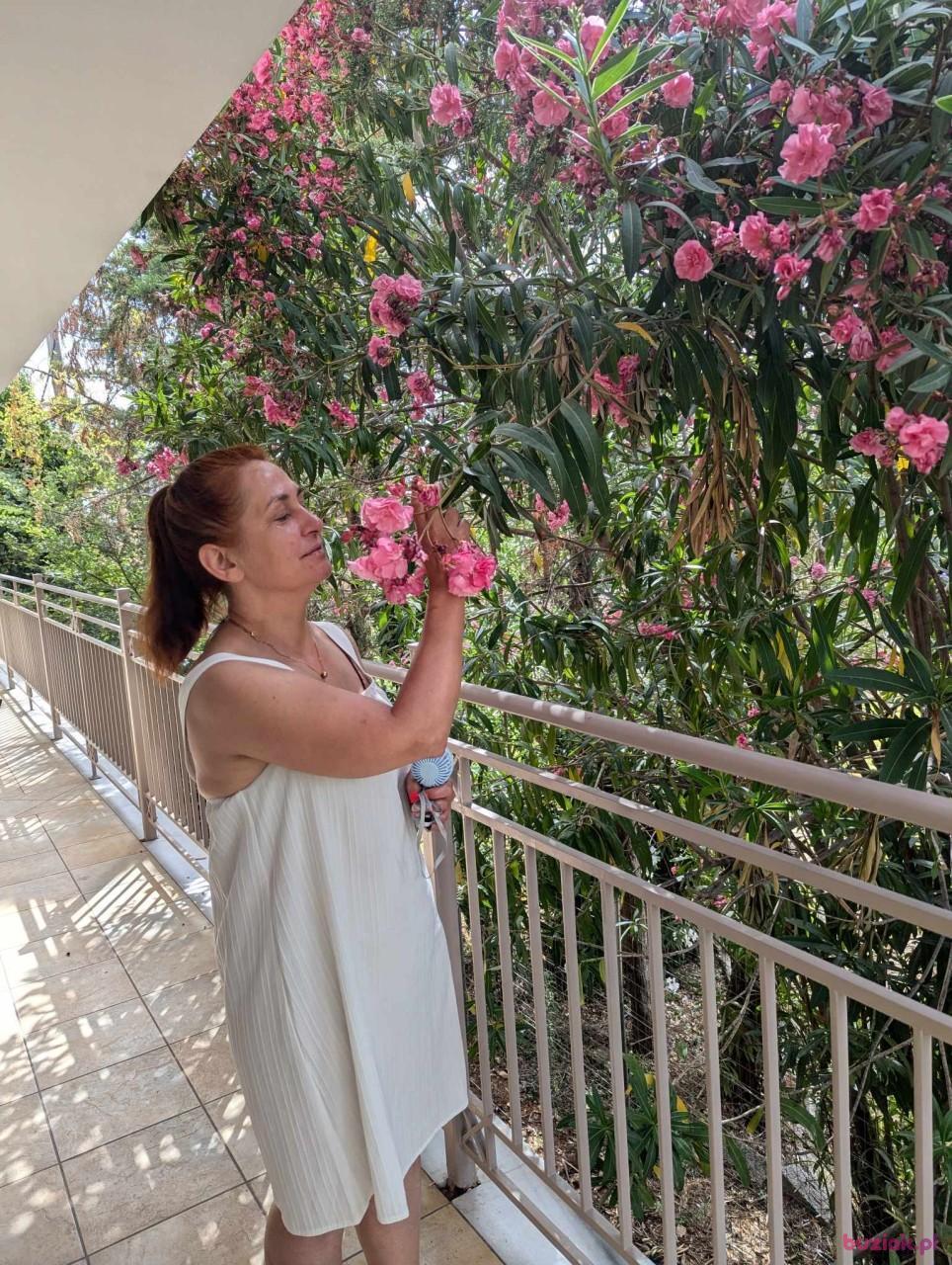 Joanna, Female, 54, Sutton in Ashfield, Wielka Brytania, Photo: 6