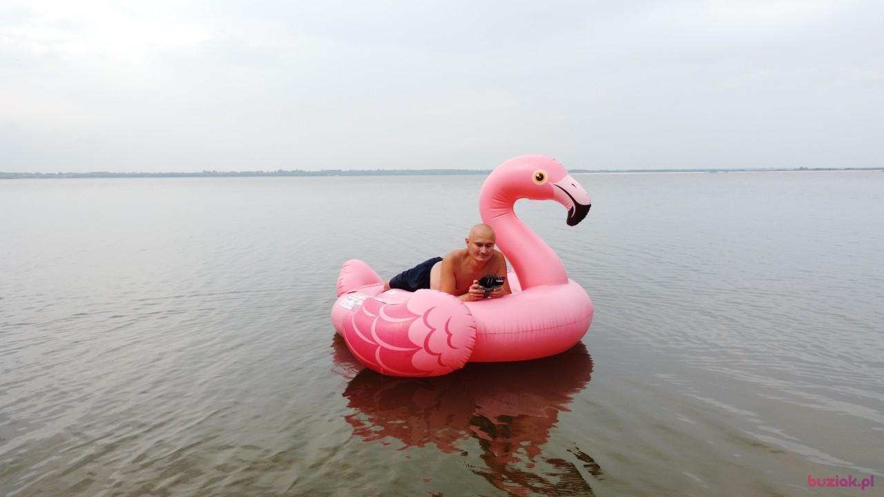Michał, Male, 37, Zgierz, Polska, Photo: 694