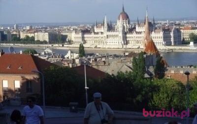 Zbyszek, Mężczyzna, 67, Łódź, Polska, Zdjęcie: 8