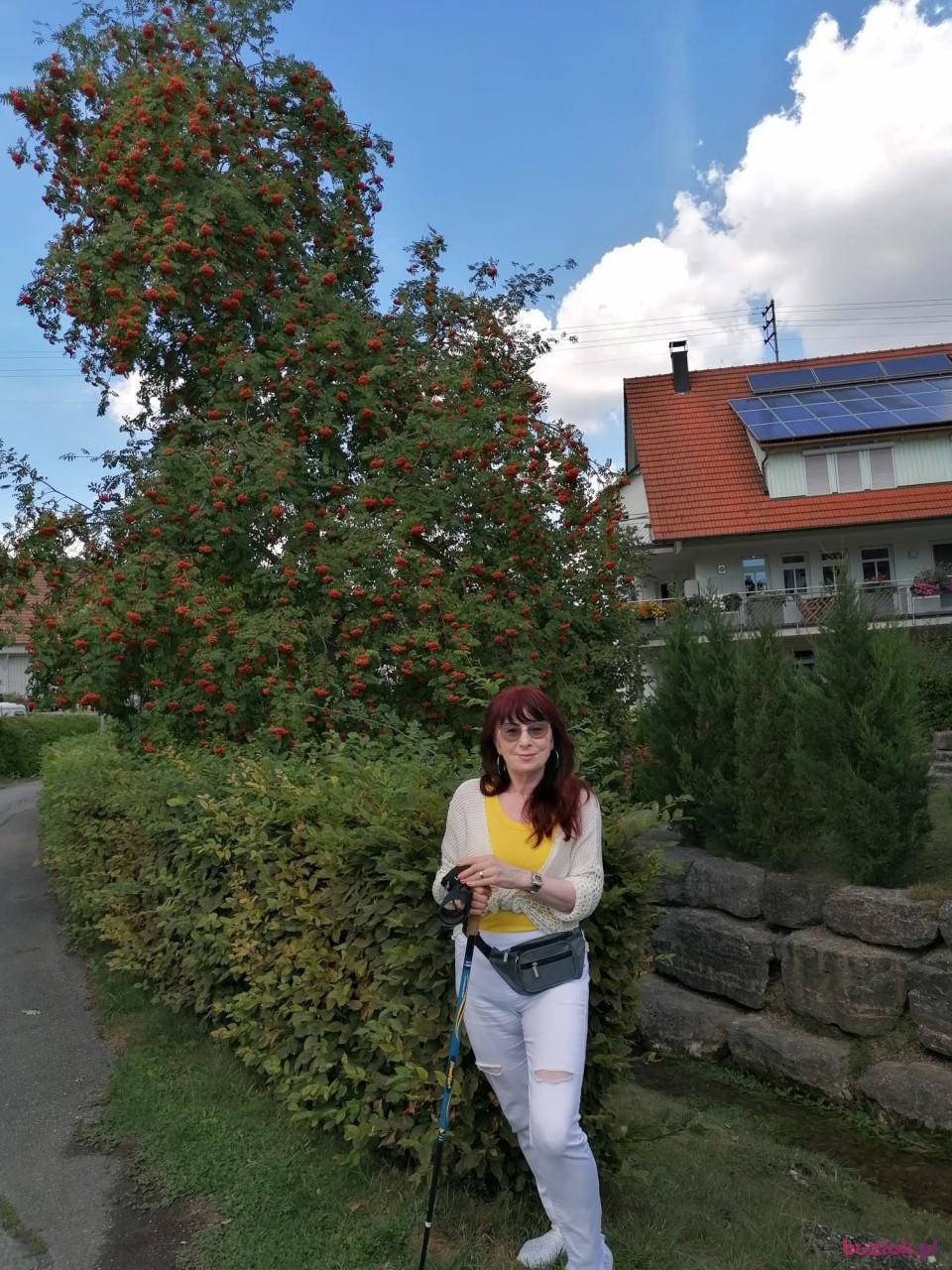 Danuta, Female, 66, Lublin, Polska, Photo: 2