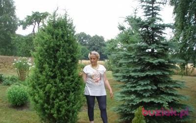 Megi317, Female, 73, Polska, Photo: 4