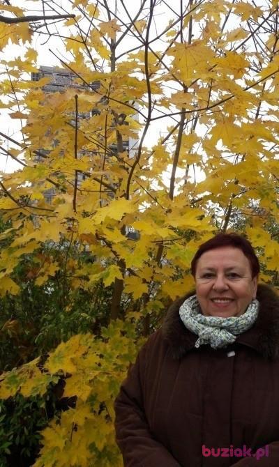 Lucyna, Female, 72, Wrocław, Polska, Photo: 17