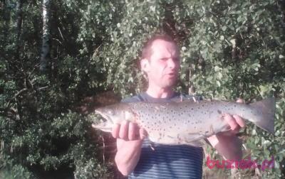 Artur, Mężczyzna, 53, Bytom, Polska, Zdjęcie: 2