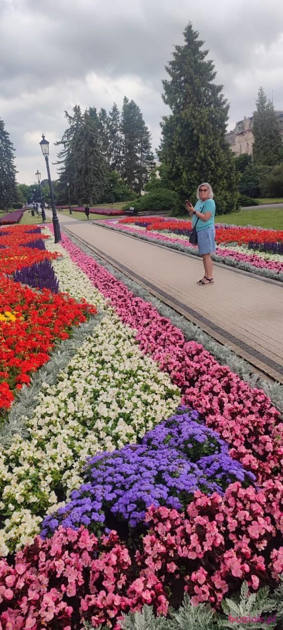 Asia, Kobieta, 70, Warszawa, Polska, Zdjęcie: 3
