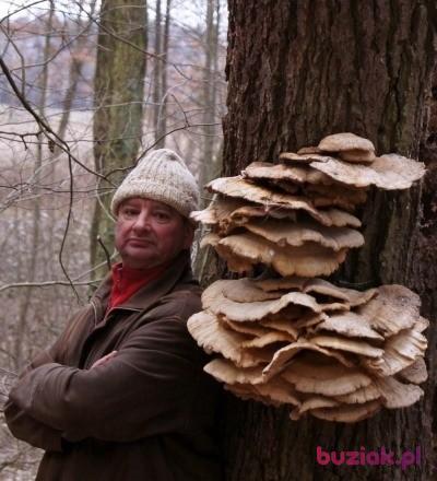 Wiesiu, Male, 65, Łódź, Polska, Photo: 14