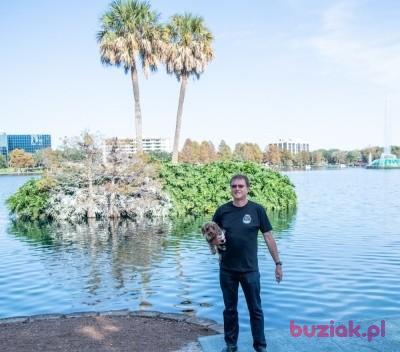 Mark, Mężczyzna, 55, Cape Canaveral, USA, Zdjęcie: 1