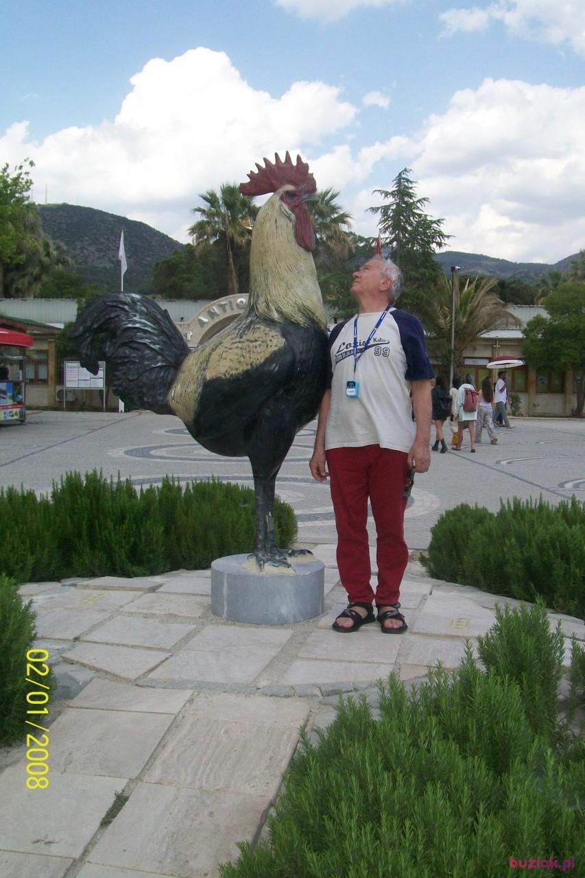 Jerzy, Male, 77, Rybnik, Polska, Photo: 4