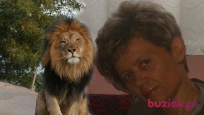 inez, Kobieta, 59, Warszawa, Polska, Zdjęcie: 5