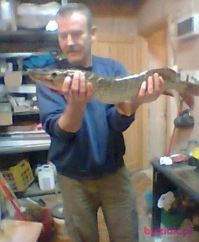 Mariusz, Mężczyzna, 57, Szczecin, Polska, Zdjęcie: 2