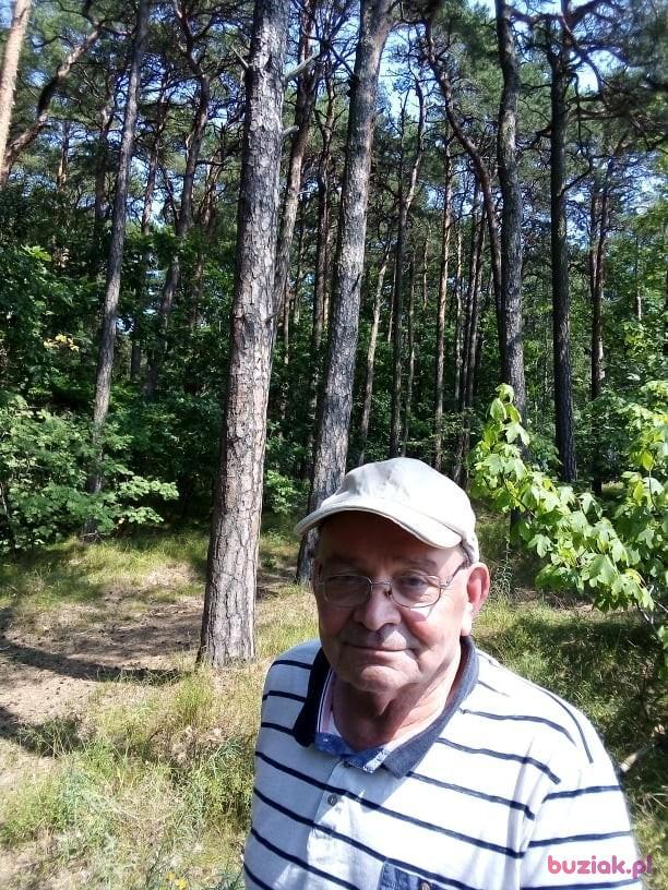 Kaziu, Mężczyzna, 75, Wejherowo, Polska, Zdjęcie: 2