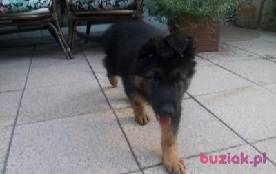 Nikki, Male, 43, Dąbrowa Górnicza, Polska, Photo: 17