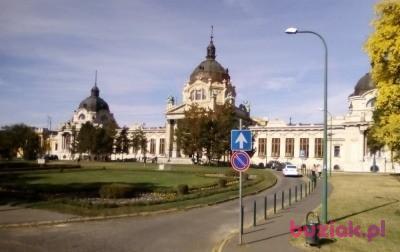Bronislawa, Kobieta, 68, Opole, Polska, Zdjęcie: 3