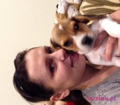 Kamila, Female, 39, Etterbeek, Belgia, Photo: 4