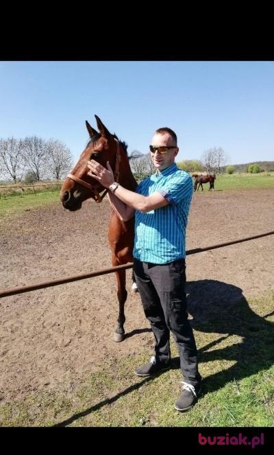 Piotr, Mężczyzna, 46, Frankfurt, Niemcy, Zdjęcie: 3