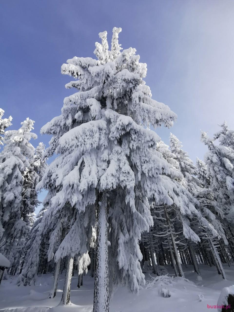 Marek, Male, 33, Lubin, Polska, Photo: 2