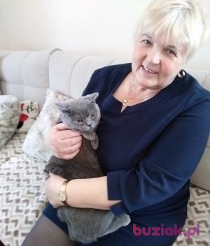 Teresa, Kobieta, 71, Wschowa, Polska, Zdjęcie: 2