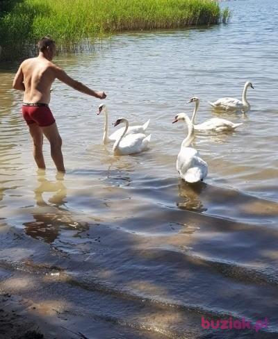 Kamil, Male, 44, Szydłowiec, Polska, Photo: 4