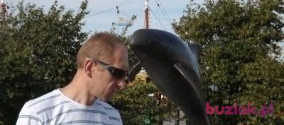 Darek, Mężczyzna, 53, Dąbrowa Górnicza, Polska, Zdjęcie: 2