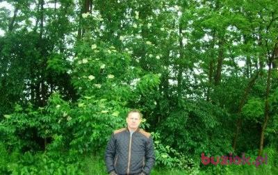 Ryszard, Mężczyzna, 50, Kożuchów, Polska, Zdjęcie: 2