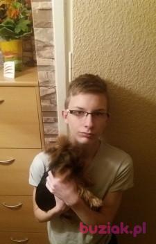 Darek, Mężczyzna, 26, Gorzów Wielkopolski, Polska, Zdjęcie: 3
