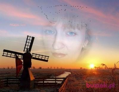 Joanna, Kobieta, 52, Włochy, Zdjęcie: 4