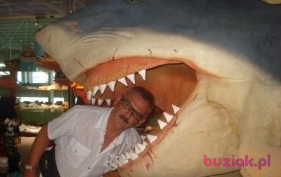 Tadeusz, Male, 68, Tychy, Polska, Photo: 4