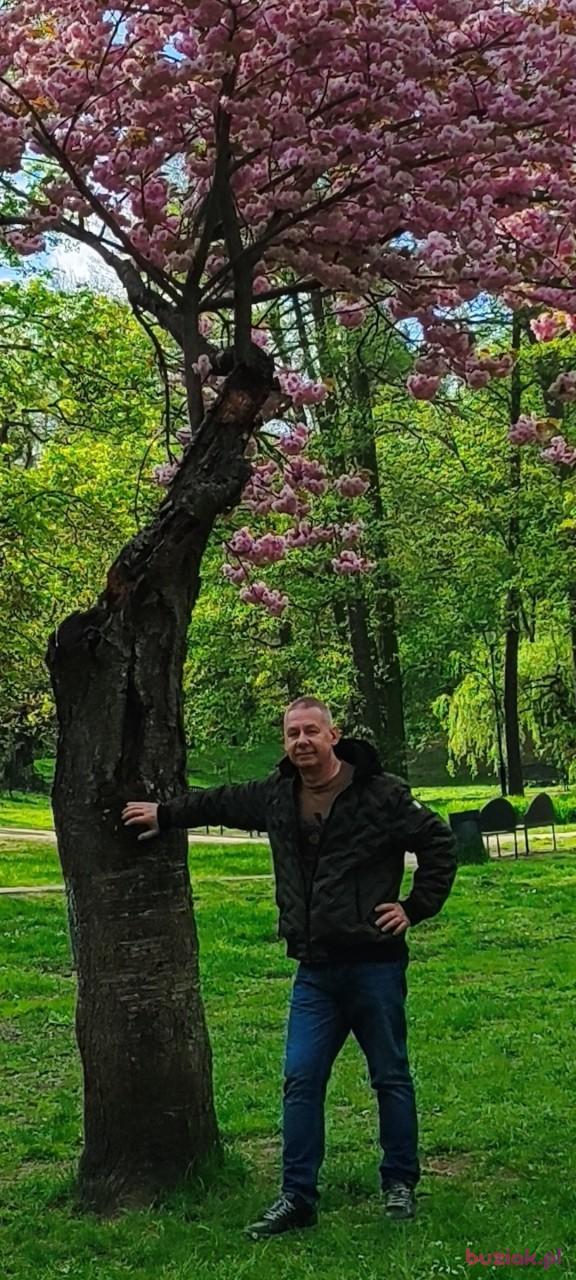 Irek, Mężczyzna, 61, Gdańsk, Polska, Zdjęcie: 5