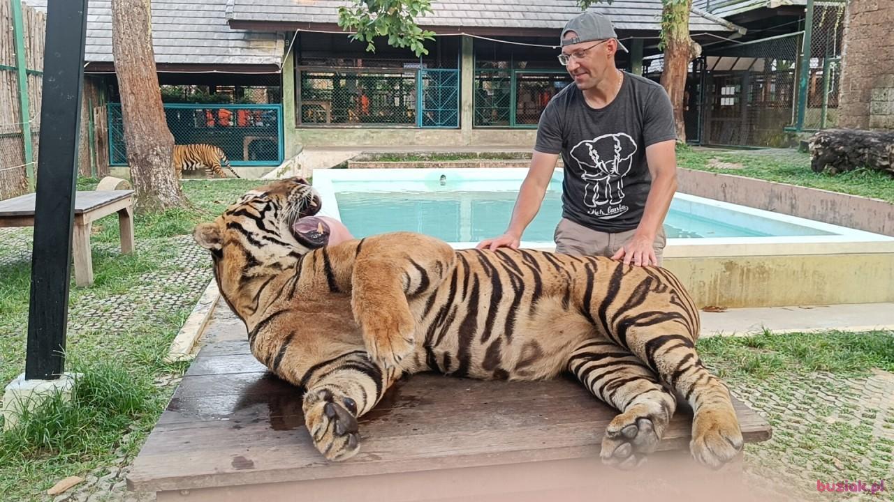 Tom, Mężczyzna, 45, Yeovil, Wielka Brytania, Zdjęcie: 3