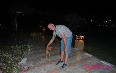 Konrad, Mężczyzna, 41, Warszawa, Polska, Zdjęcie: 1