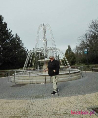 Barbara, Kobieta, 72, Toruń, Polska, Zdjęcie: 3
