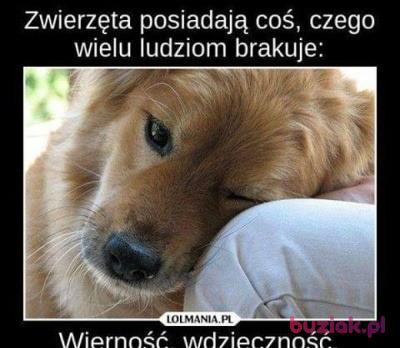 Iwona, Kobieta, 49, Polska, Zdjęcie: 7
