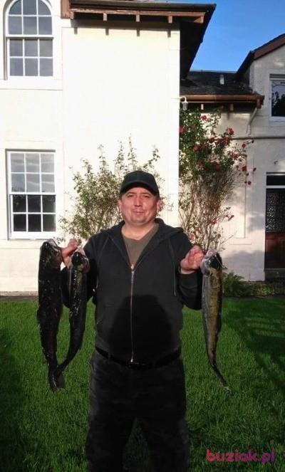 Jarosław, Mężczyzna, 48, Częstochowa, Polska, Zdjęcie: 5
