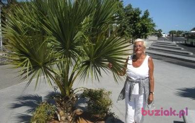 Grazyna, Kobieta, 78, Zgierz, Polska, Zdjęcie: 3