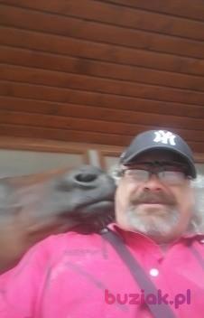 Martin, Mężczyzna, 51, Brwinów, Polska, Zdjęcie: 3