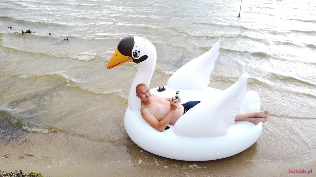 Michał, Male, 37, Zgierz, Polska, Photo: 563