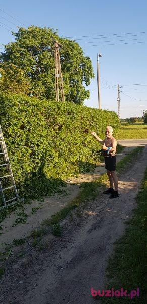 PIOTR, Mężczyzna, 67, Bydgoszcz, Polska, Zdjęcie: 6