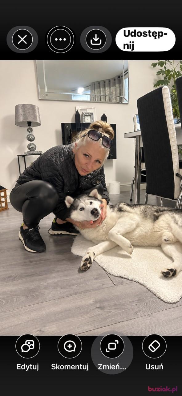 Marzena, Kobieta, 50, Manchester, Wielka Brytania, Zdjęcie: 2